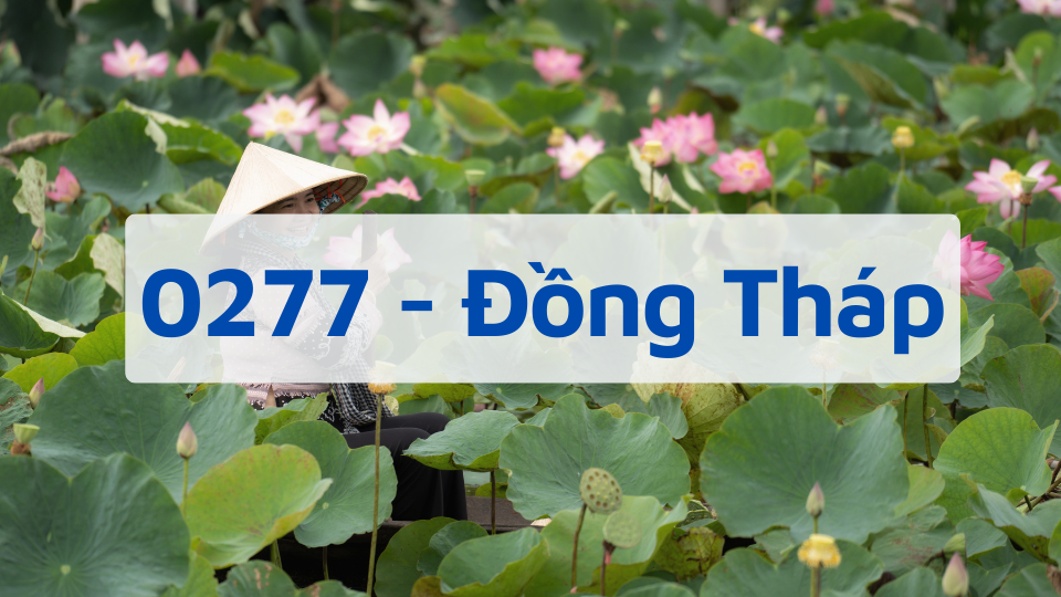 Đầu số 0277 - Mã Vùng Đồng Tháp