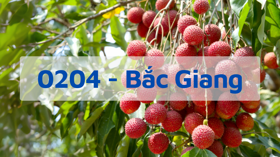 Đầu số 0204 - Mã Vùng Bắc Giang