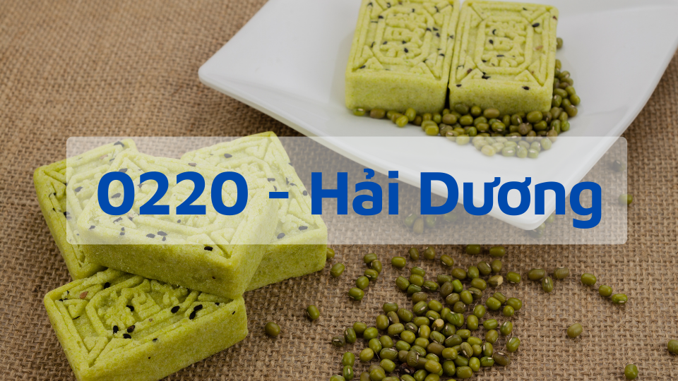Đầu số 0220 - Mã Vùng Hải Dương