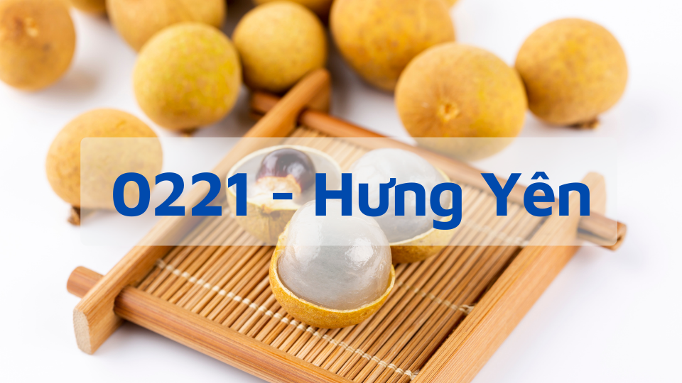 Đầu số 0221 - Mã Vùng Hưng Yên