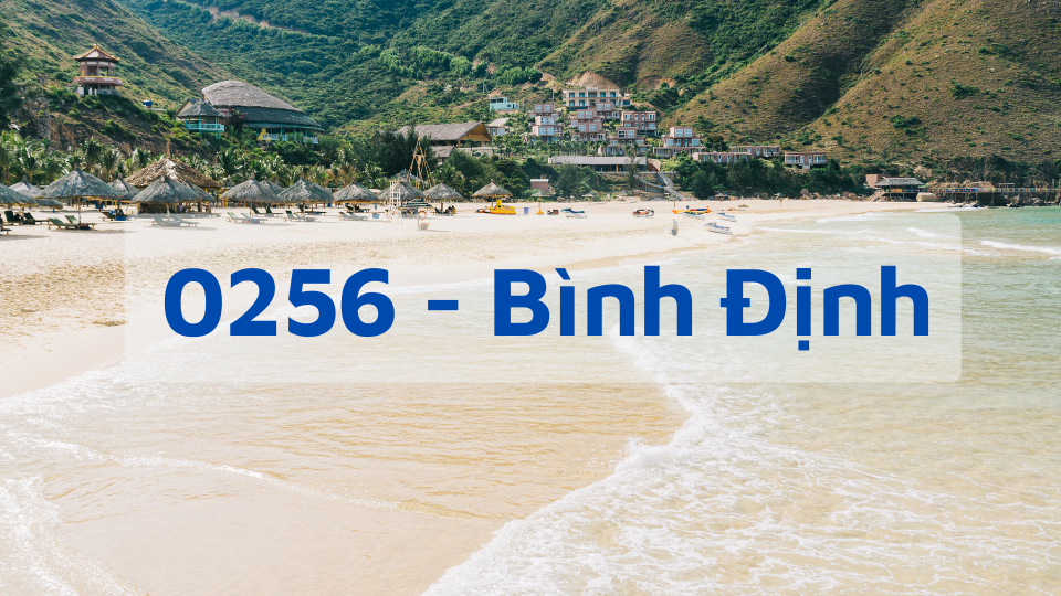 Đầu số 0256 - Mã Vùng Bình Định