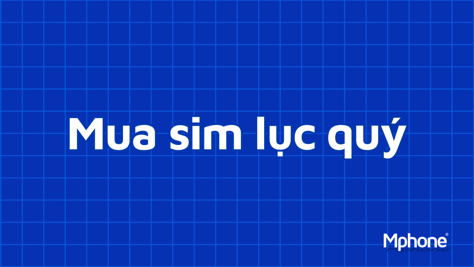 Mua sim lục quý