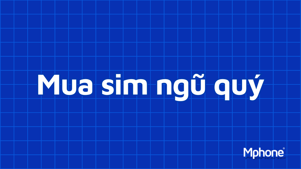 Mua sim ngũ quý