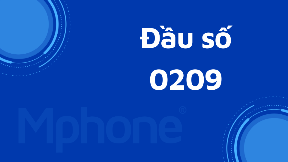 Đầu số 0209