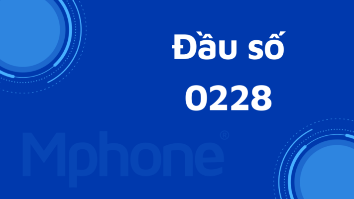 Đầu số 0228
