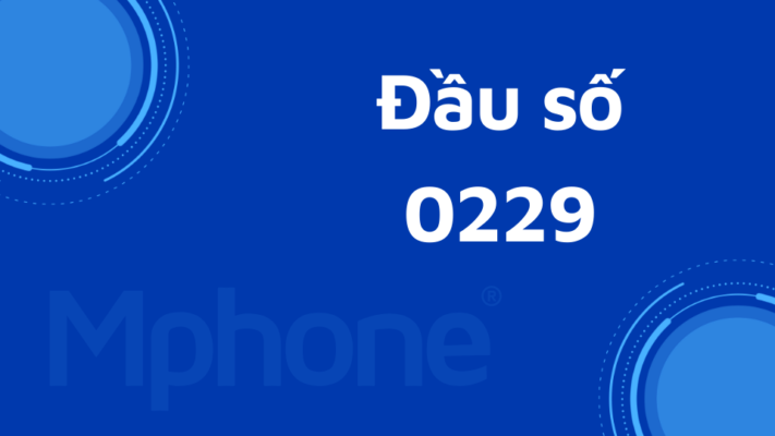 Đầu số 0229