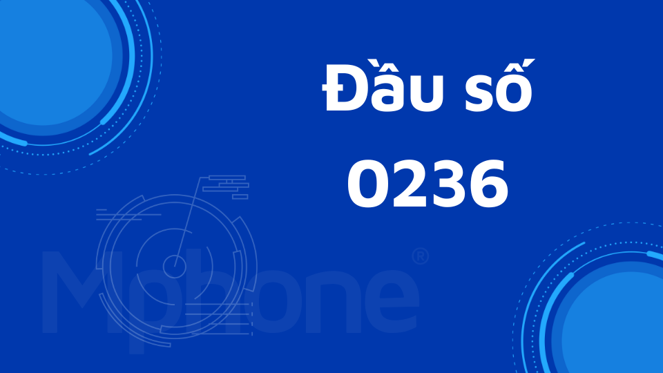 Đầu số 0236