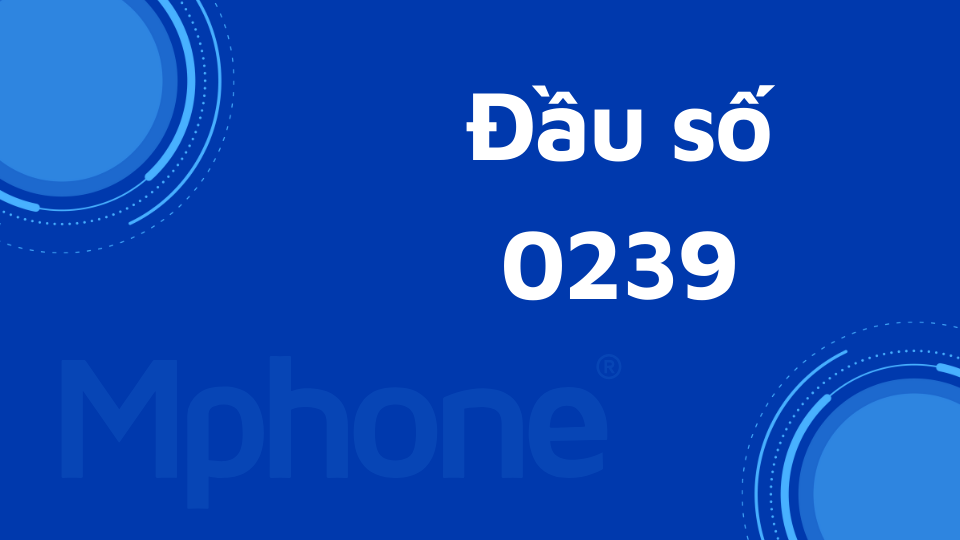 Đầu số 0239