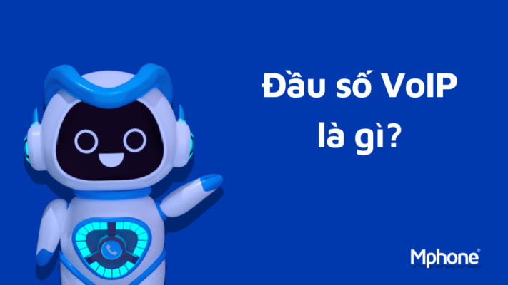 Đầu số VoIP