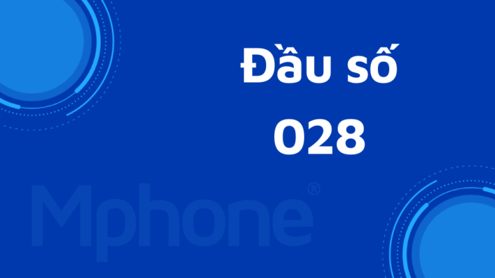 Đầu số 028