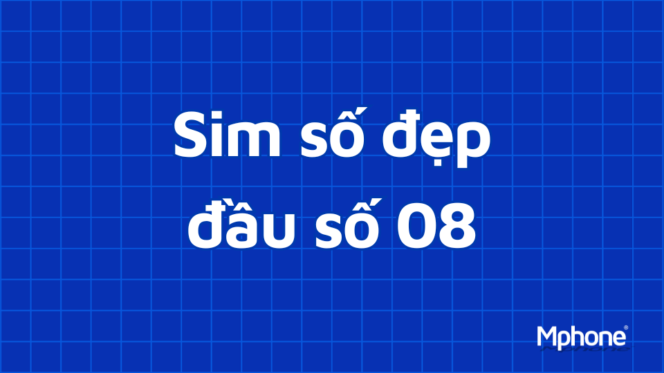 Sim số đẹp đầu số 08