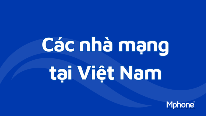 Các nhà mạng tại Việt Nam